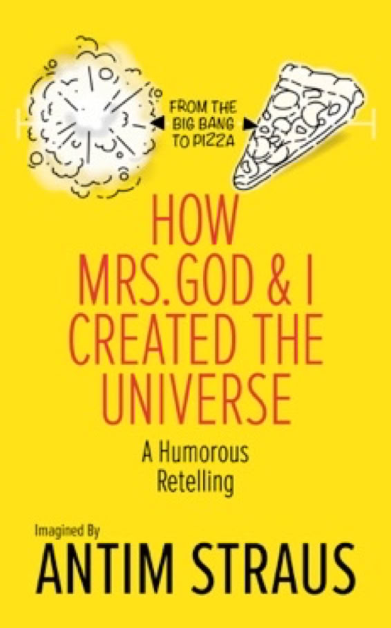 Book cover of How Mrs. God and I Created the Universe by Antim Straus